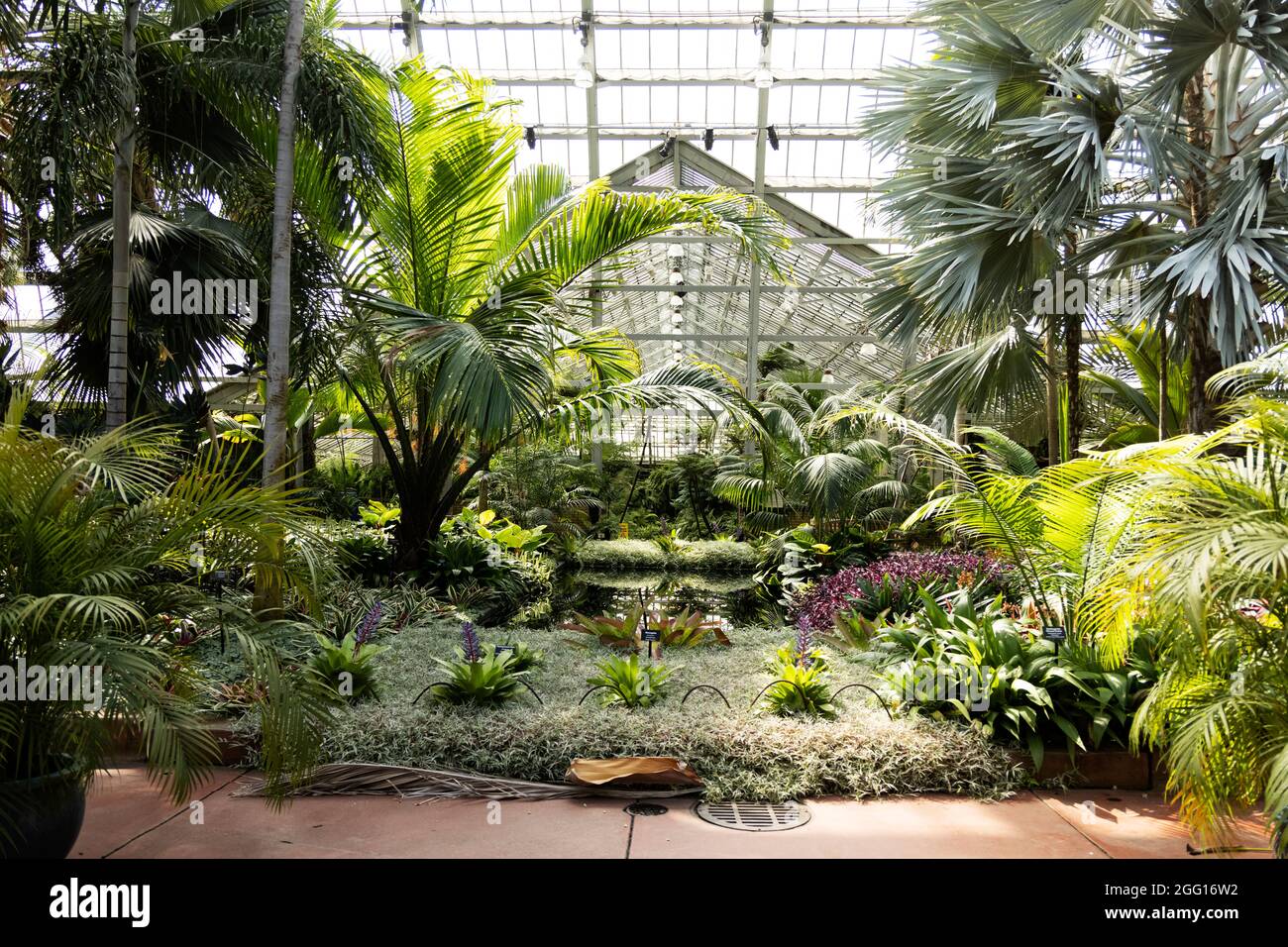 The main garden and greenhouse at the entrance to Garfield Park