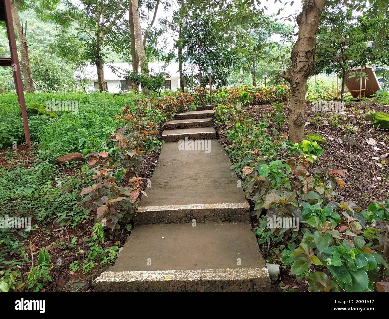 Pune , India - 20 February 2021, Concrete footpath in the forest background or Cement pavement in the jungle background at Pune Maharashtra Stock Photo