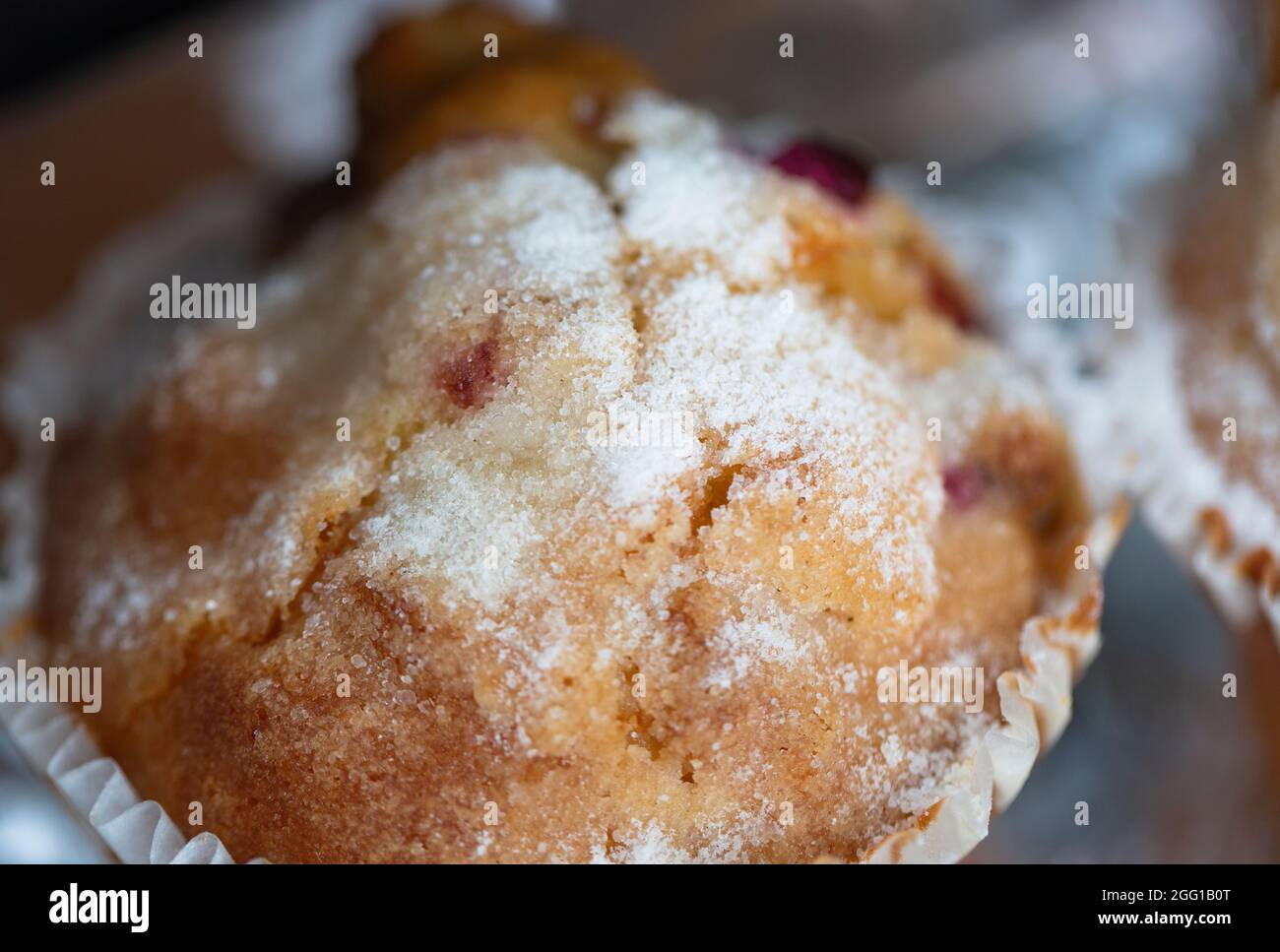 Cranberry muffin with powered sugar Stock Photo