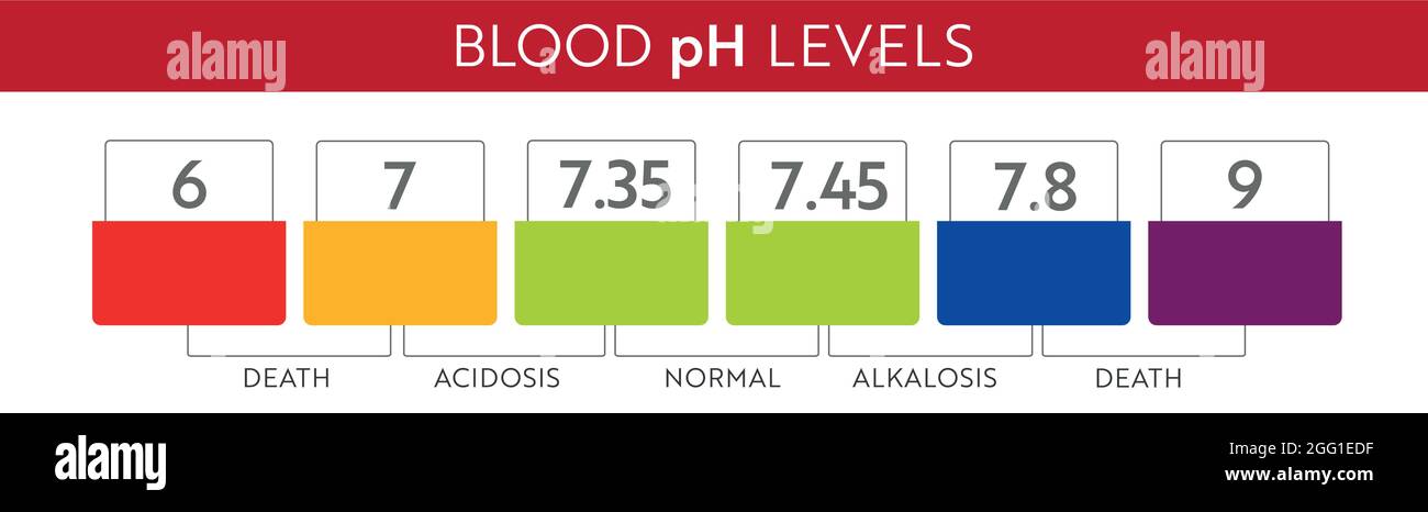 Human Blood Ph Range Medical Illustration Chart And Scale Acidic 