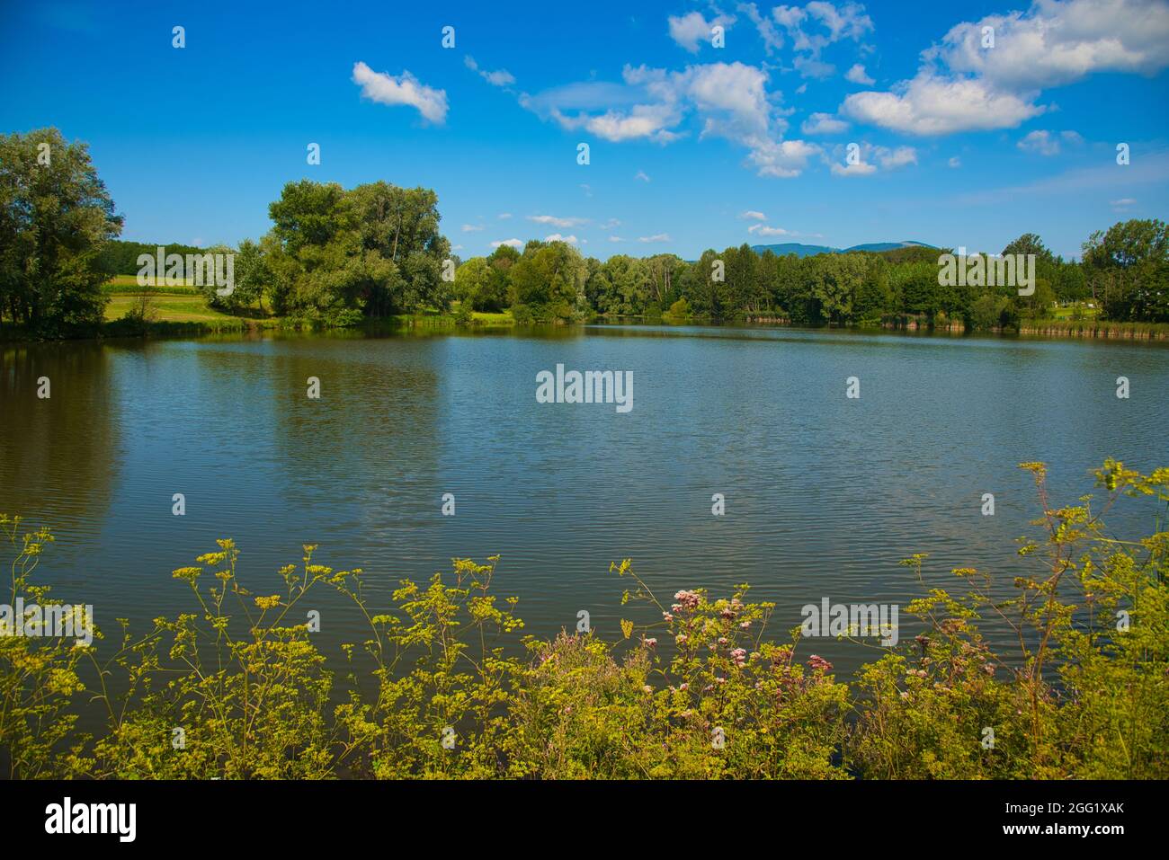 lac de Michelbach in the Vosges mountains in Alsace in France Stock Photo