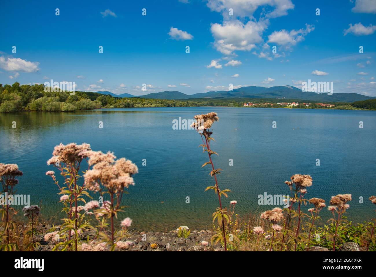 lac de Michelbach in the Vosges mountains in Alsace in France Stock Photo