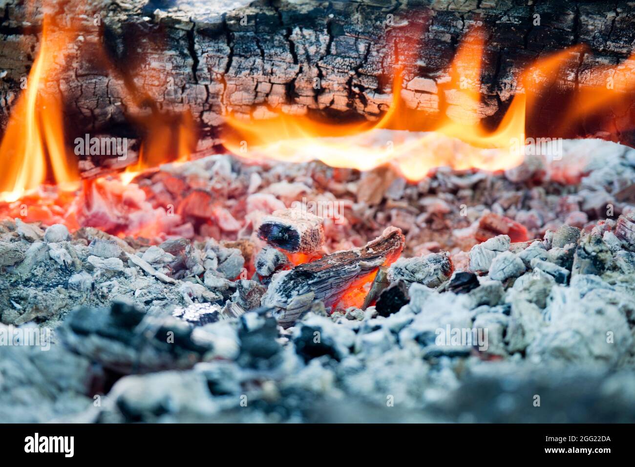 Burning Ashes