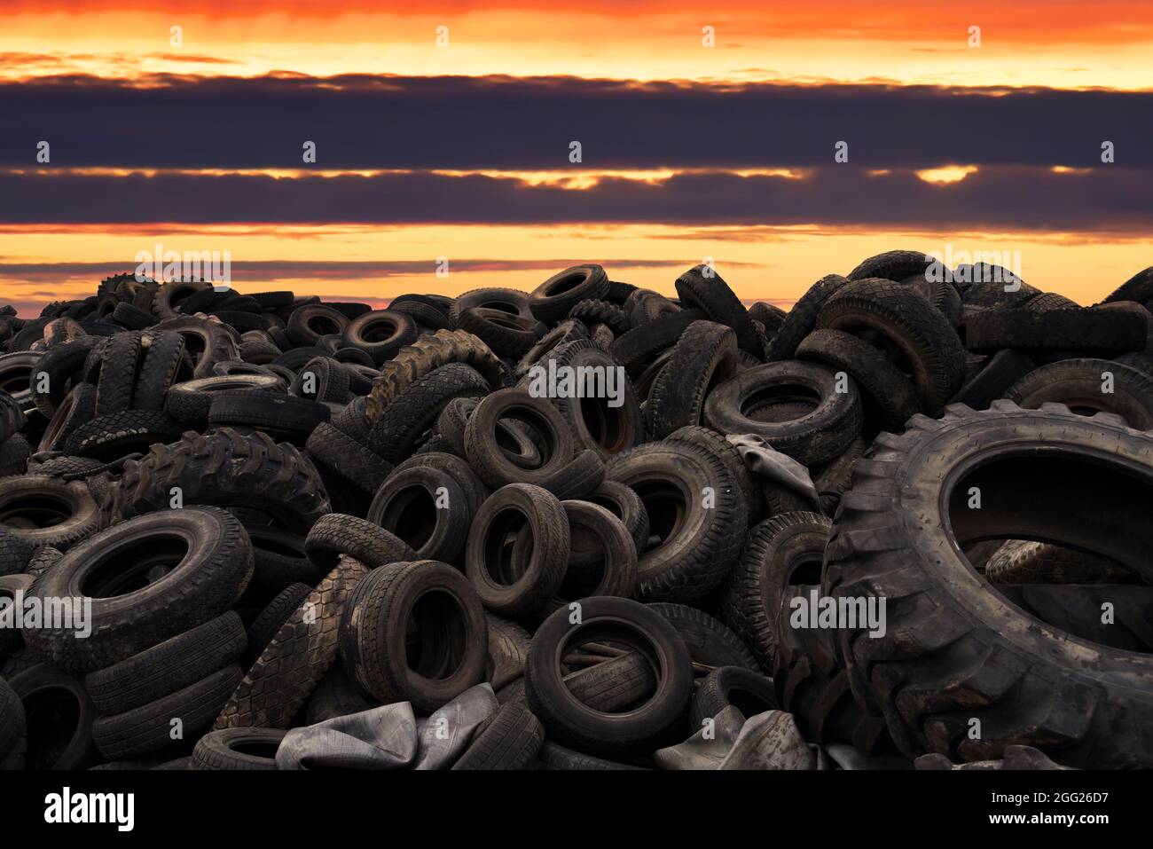Landfill with old tires and tyres for recycling. Reuse of the waste