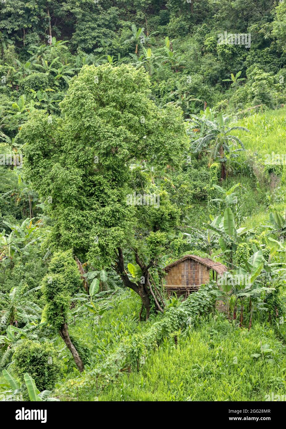 Jhum House Bangladesh house hi-res stock photography and images - Alamy