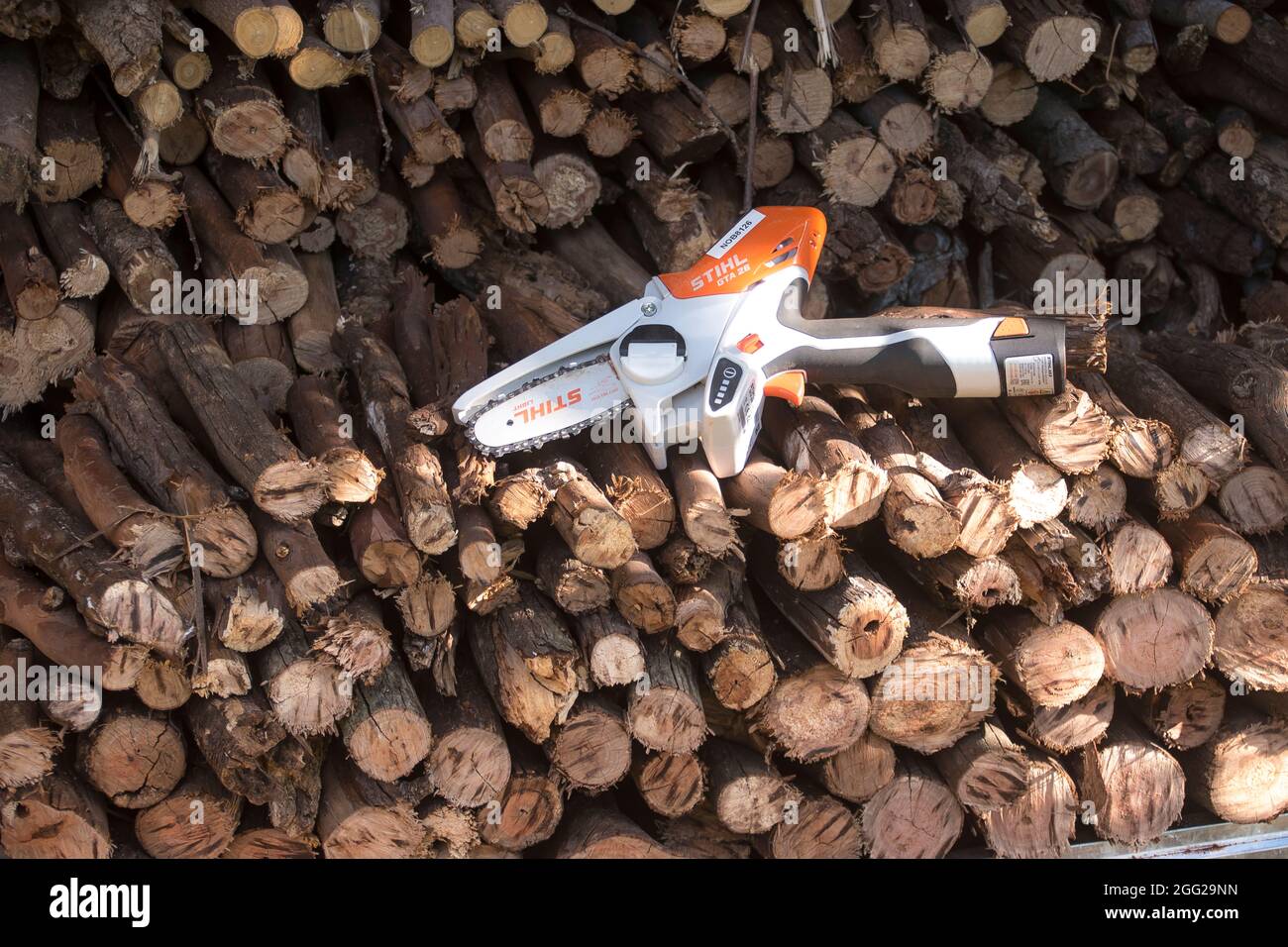 Very small Stihl battery-powerd chainsaw on top of stack of logs (firewood) in storage shed. Fuel for use in wood-burning stove, Queensland, Australia Stock Photo