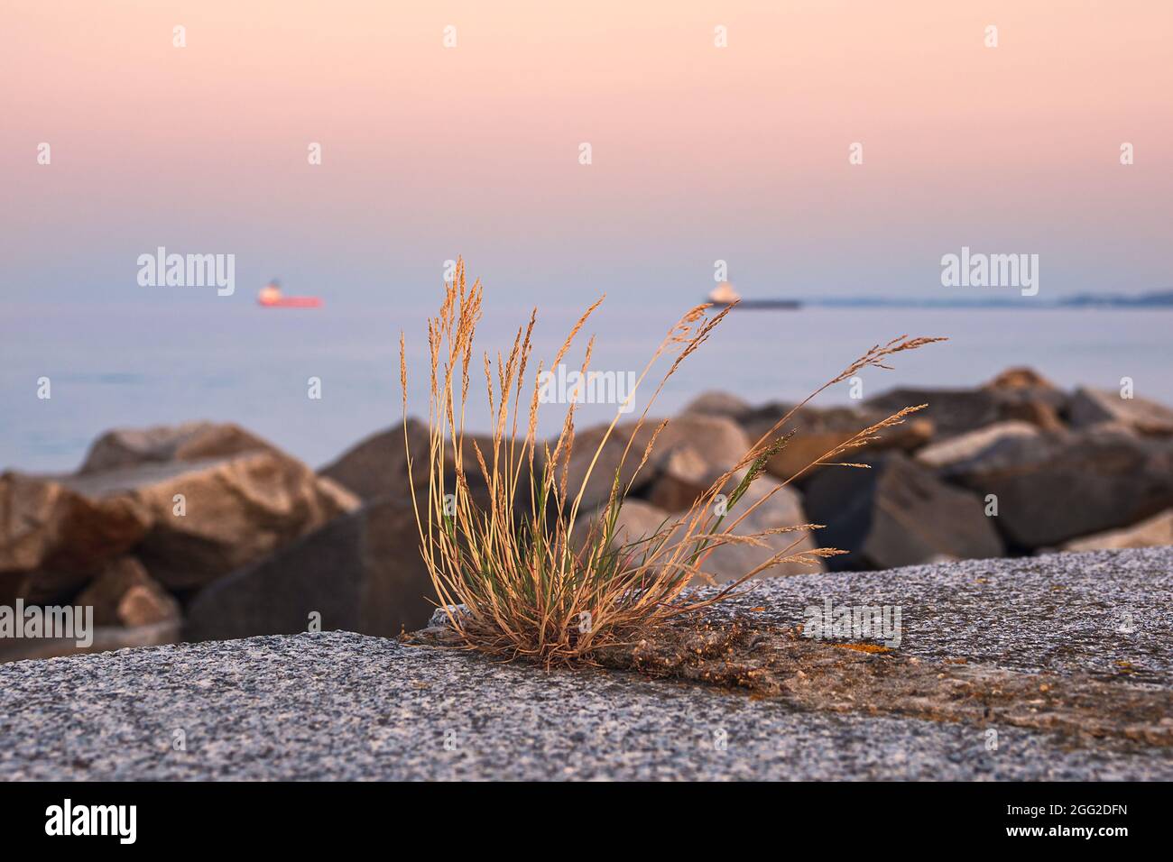 Hassock on the mole in Sassnitz, Germany. Stock Photo