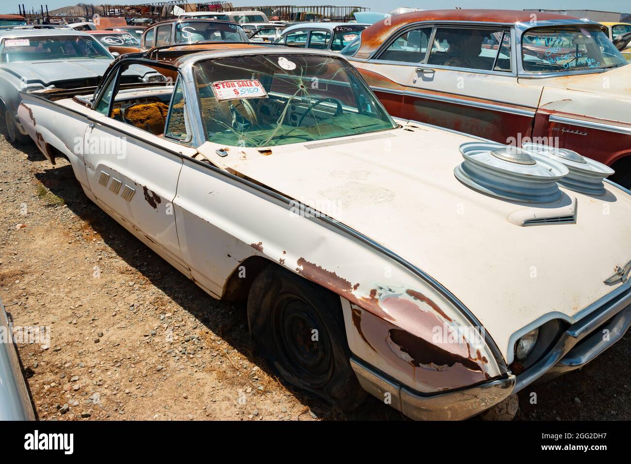 classic 1960s vintage American cars in Arizona junkyard Stock Photo Alamy
