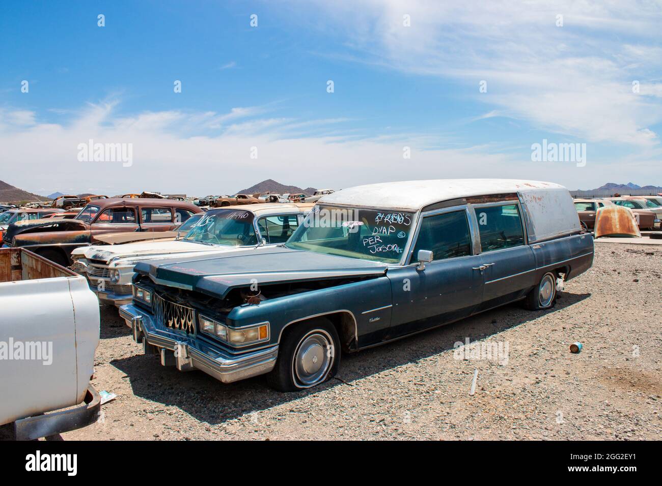 classic 1960s vintage American cars in Arizona junkyard Stock Photo Alamy