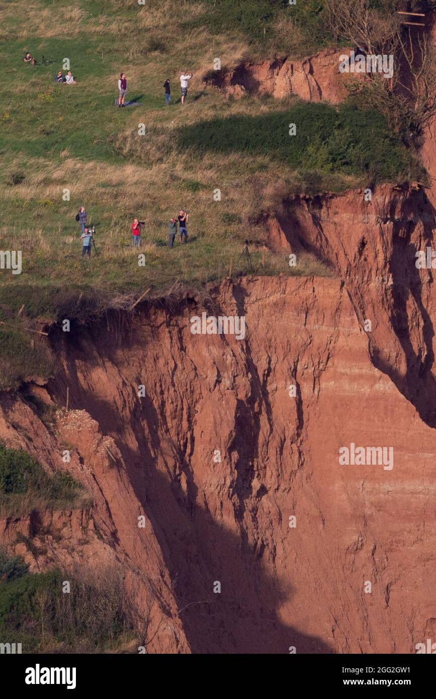 Sidmouth, Devon, UK. 27th Aug 2021.  Members of the public stand dangerously close to the edge of crumbling cliffs whilst watching the RAF Red Arrows perform a colourful display over Sidmouth, Devon. The cliffs at Sidmouth have collapsed in this location around half a dozen times in the past 4-6 weeks. Credit: Ian Williams/Alamy Live News Stock Photo