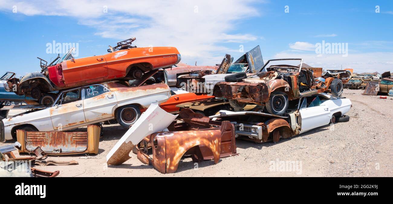 panorama of classic 1960s vintage American cars in Arizona junkyard
