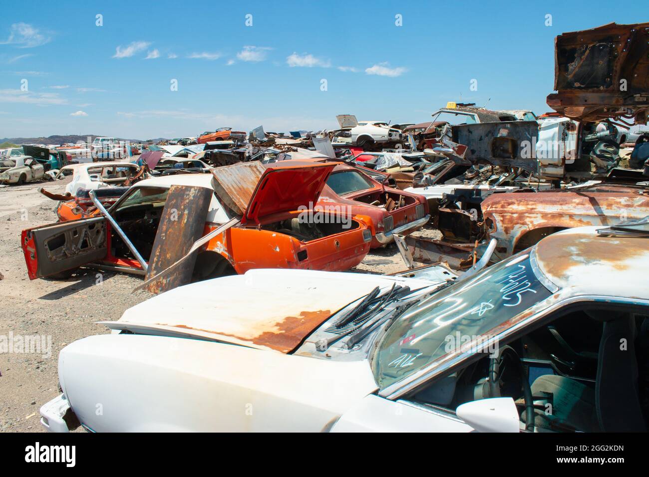classic 1960s vintage American cars in Arizona junkyard Stock Photo Alamy
