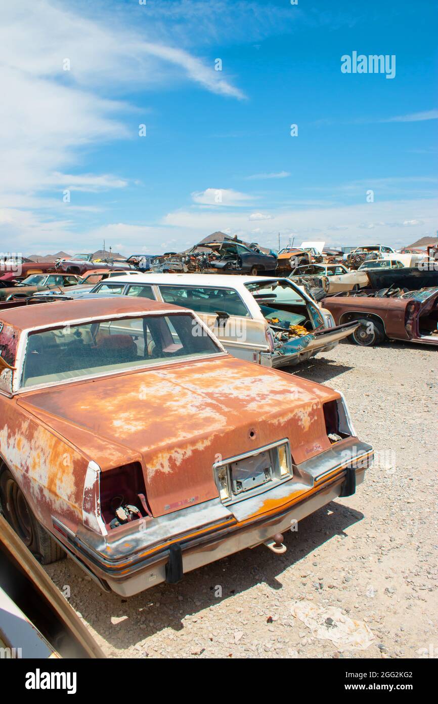 classic 1960s vintage American cars in Arizona junkyard Stock Photo - Alamy
