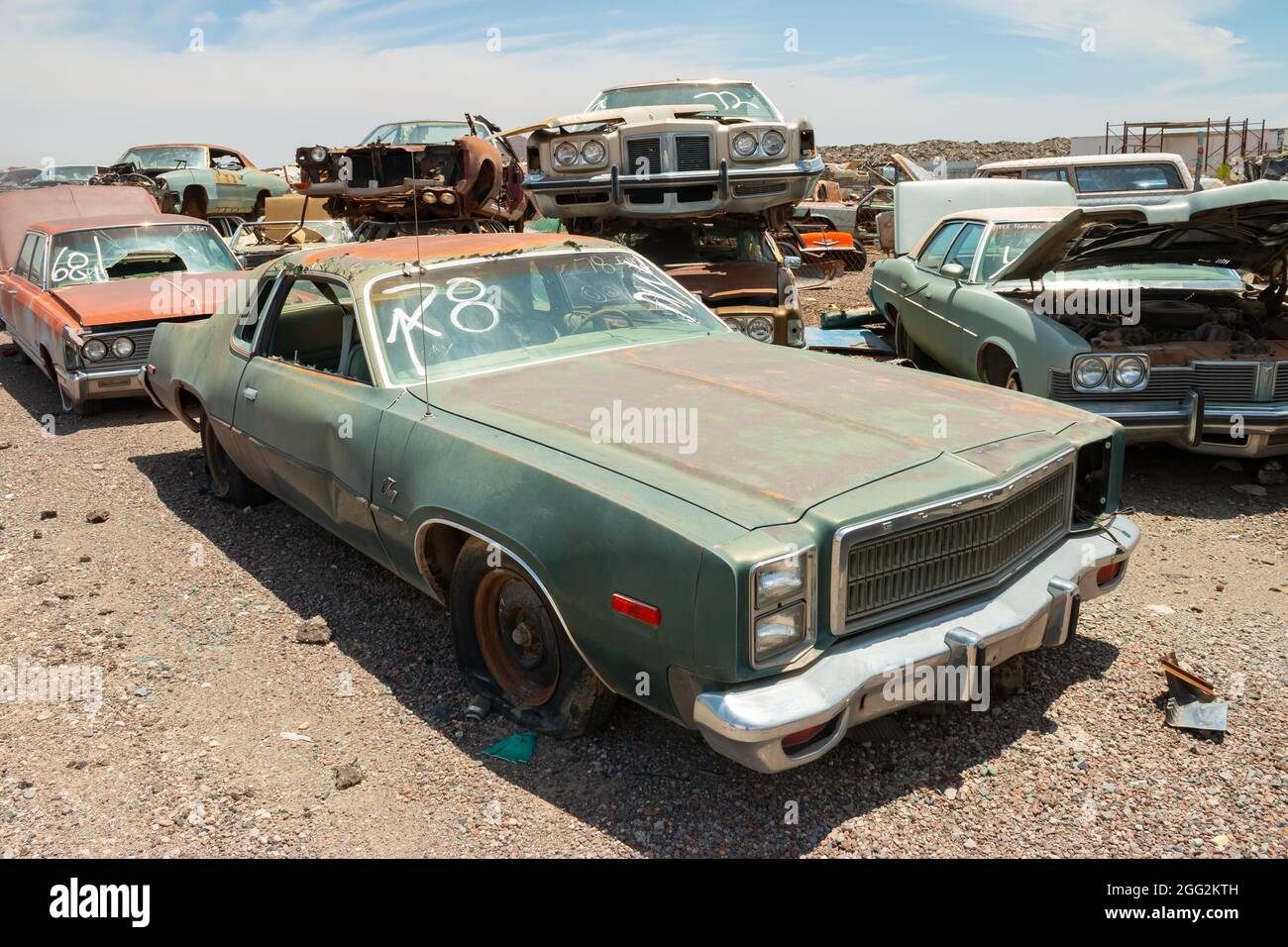 classic 1960s vintage American cars in Arizona junkyard Stock Photo - Alamy