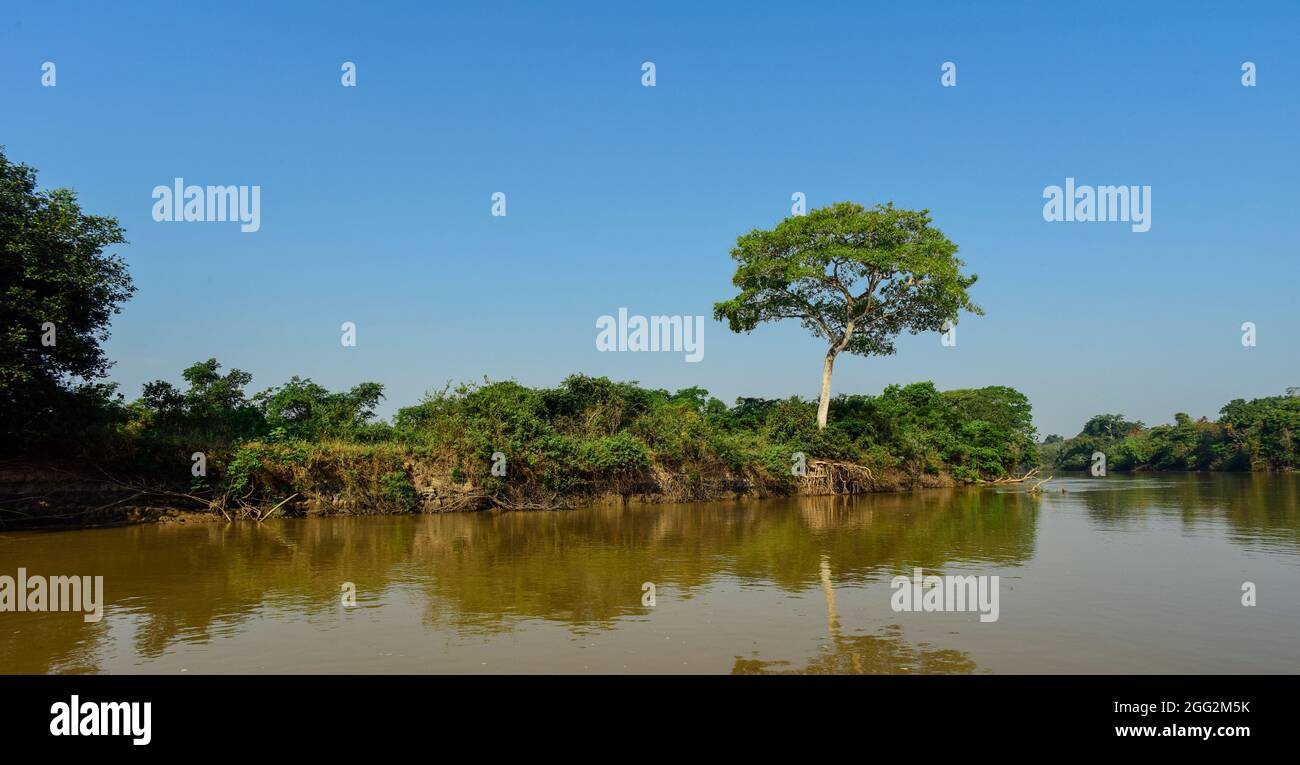 Pantanal Forest, Cuiabá river landscape, Mato grosso, Brazil. Stock Photo