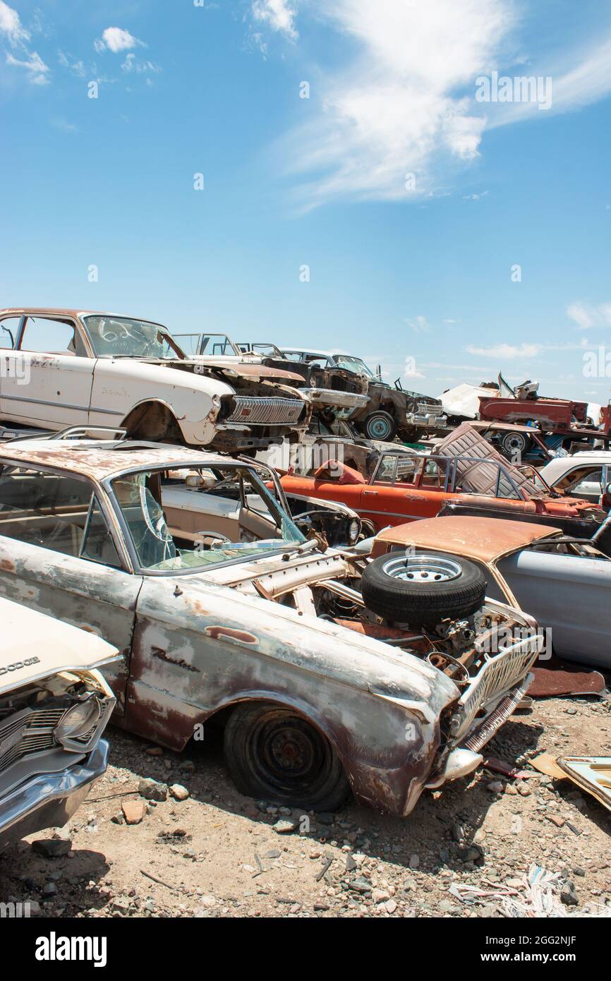 classic 1960s vintage American cars in Arizona junkyard Stock Photo - Alamy