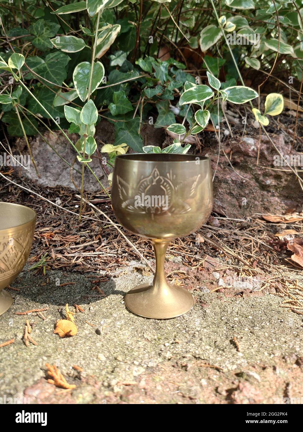 https://c8.alamy.com/comp/2GG2PK4/closeup-shot-of-a-vintage-brass-goblet-standing-on-the-ground-2GG2PK4.jpg