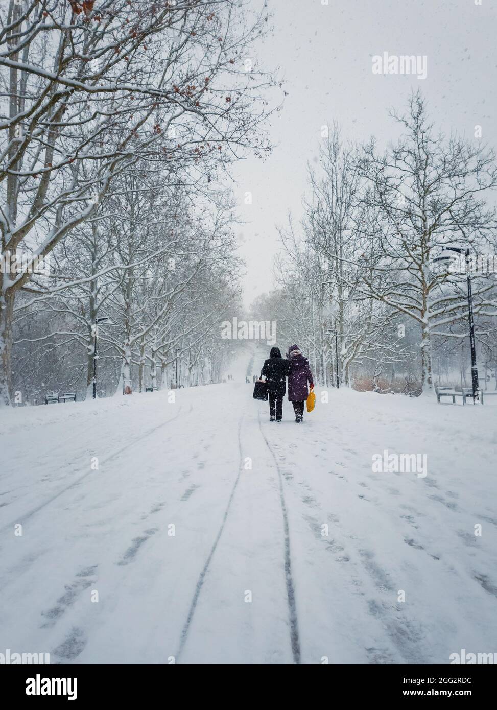Two middle age women carrying pouches walks through the snowfall alongside the alley in the winter park. Wonderful snowing scene on the street. Cold s Stock Photo