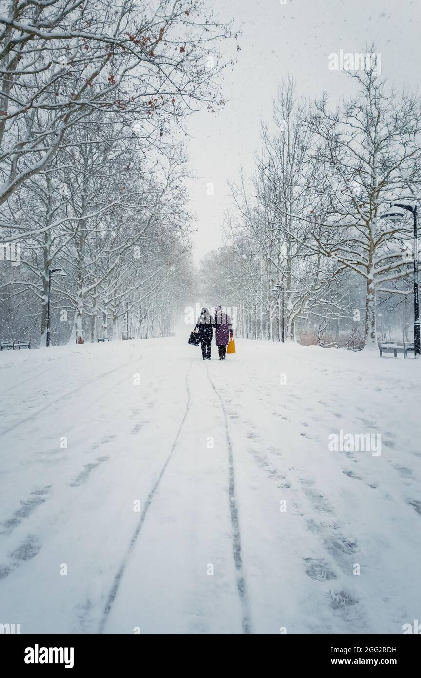 Two middle age women carrying pouches walks through the snowfall alongside the alley in the winter park. Wonderful snowing scene on the street. Cold s Stock Photo