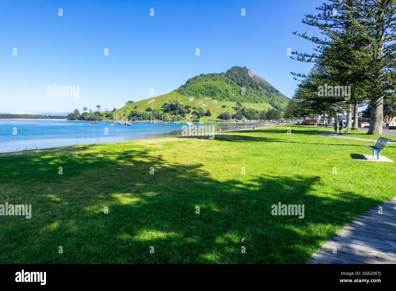 Mount Maunganui And Coronation Park In Tauranga The Bay Of Plenty Tauranga New Zealand Stock