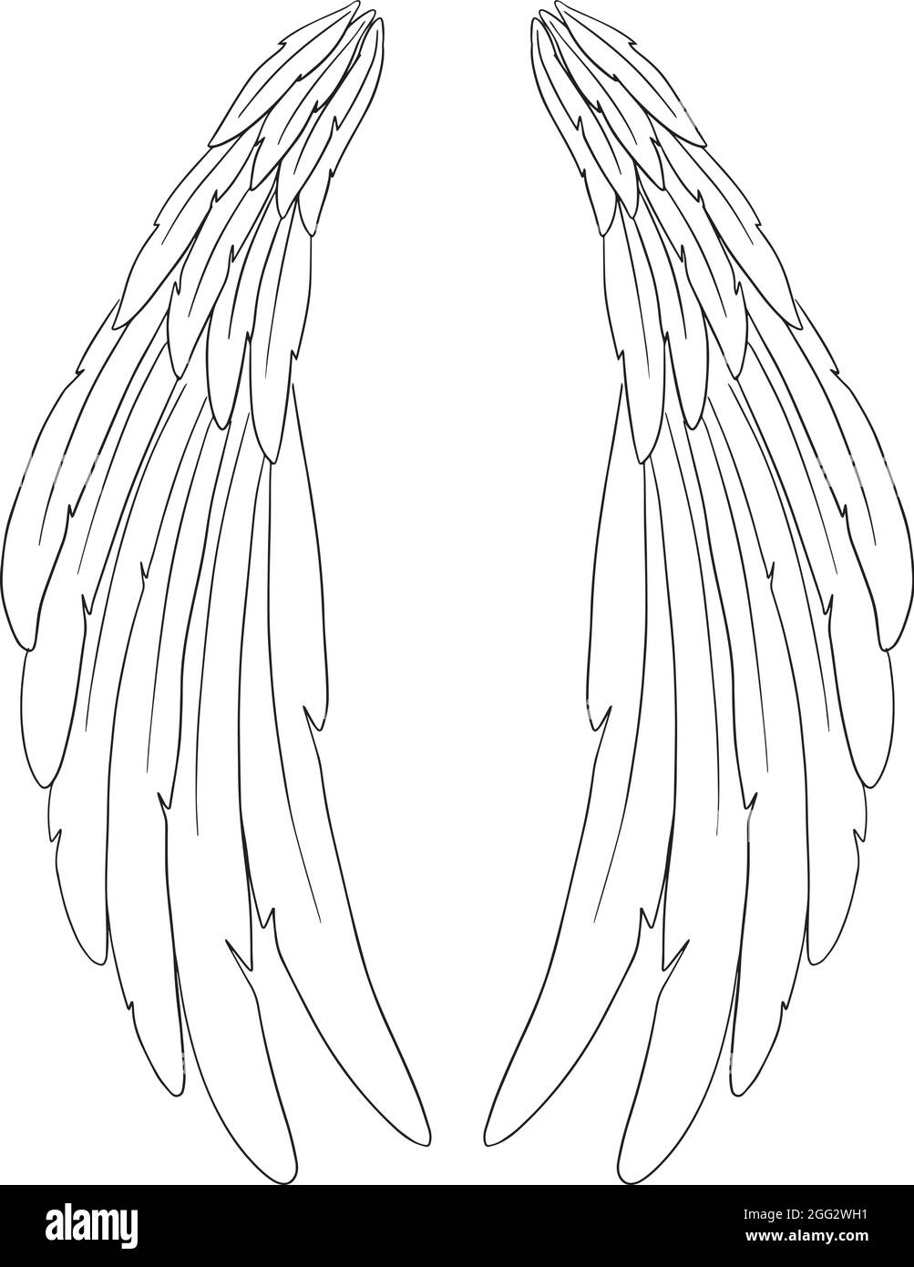 Angel Wings Anime Side View Download  Angel Wings On The Side Png  Free  Transparent PNG Download  PNGkey