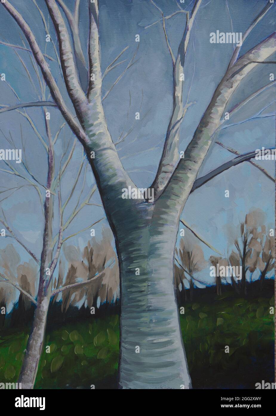 Portrait Painting of Silver Birch Tree in Greenwich Park London Stock Photo