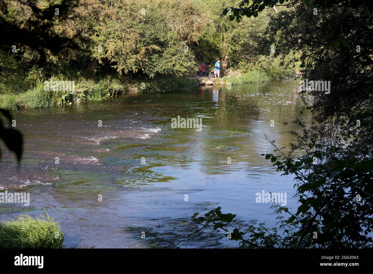 Anglers in attractive isolated fishing spot near the weir on banks of River Avon Offenham UK Stock Photo