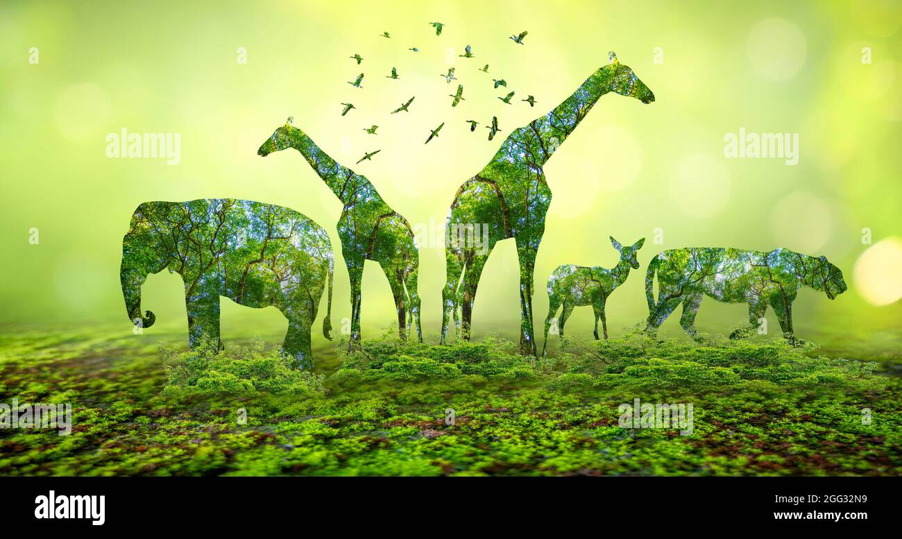 forest silhouette in the shape of a wild animal wildlife and forest conservation concept Stock Photo