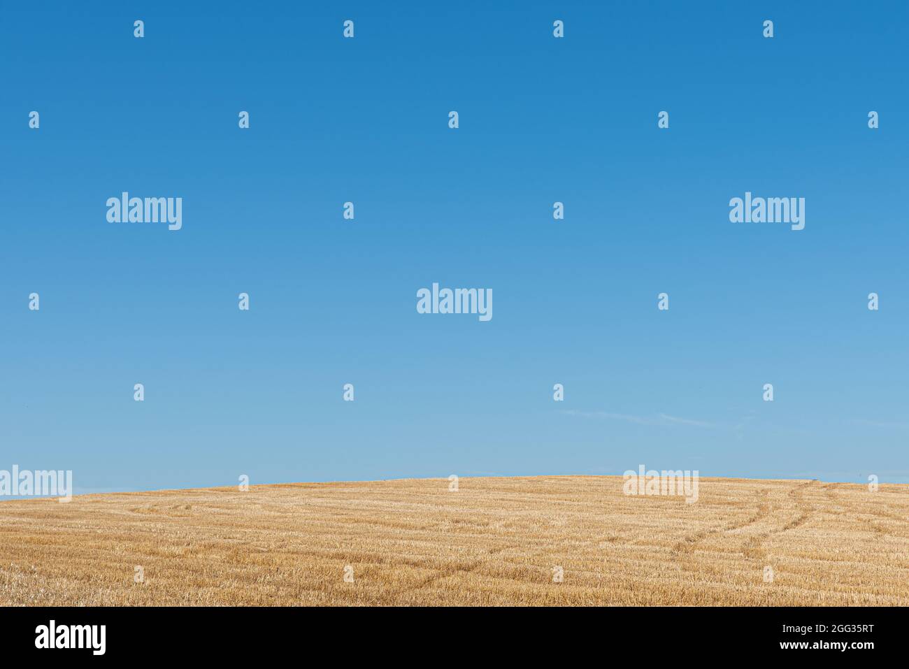 Terreno agricolo contro il cielo azzurro chiaro Stock Photo
