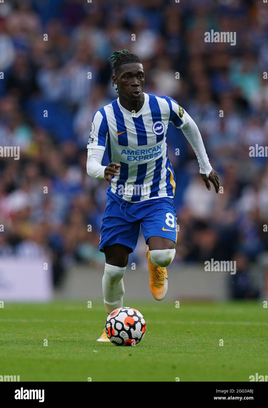 28 August 2021 - Brighton & Hove Albion v Everton - Premier League