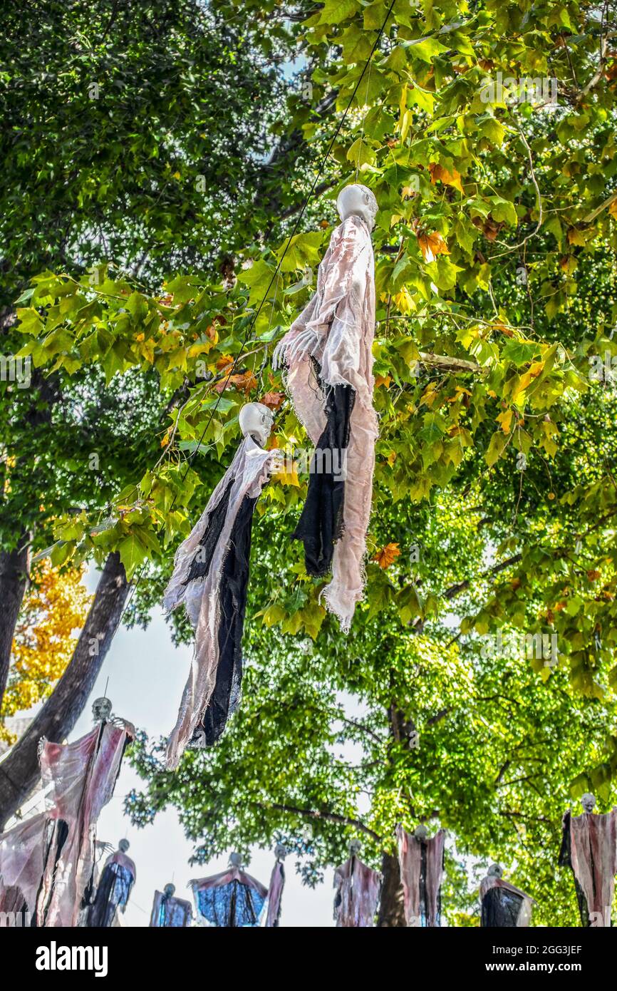 Halloween zombie decorations hanging from trees on an American residential street Stock Photo