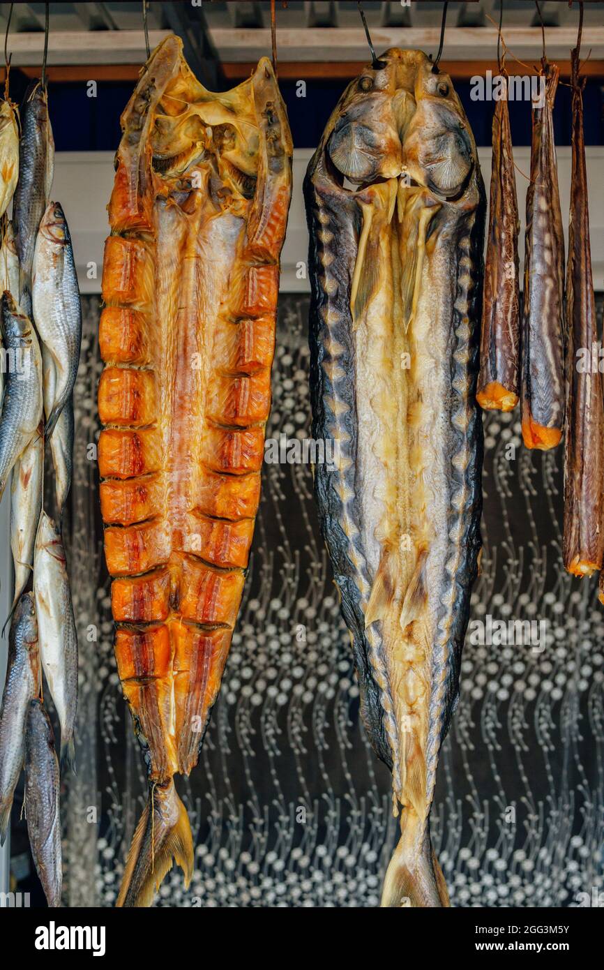 Smoked salted sturgeon fish hanging at outdoors seafood market Stock Photo