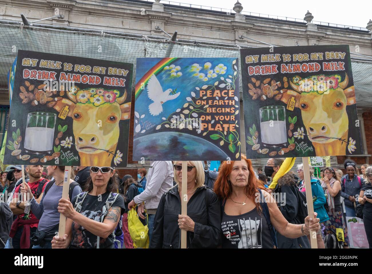 Animal Rights Protest Sign Cows Illustrated protest signs hi-res stock photography and images - Alamy