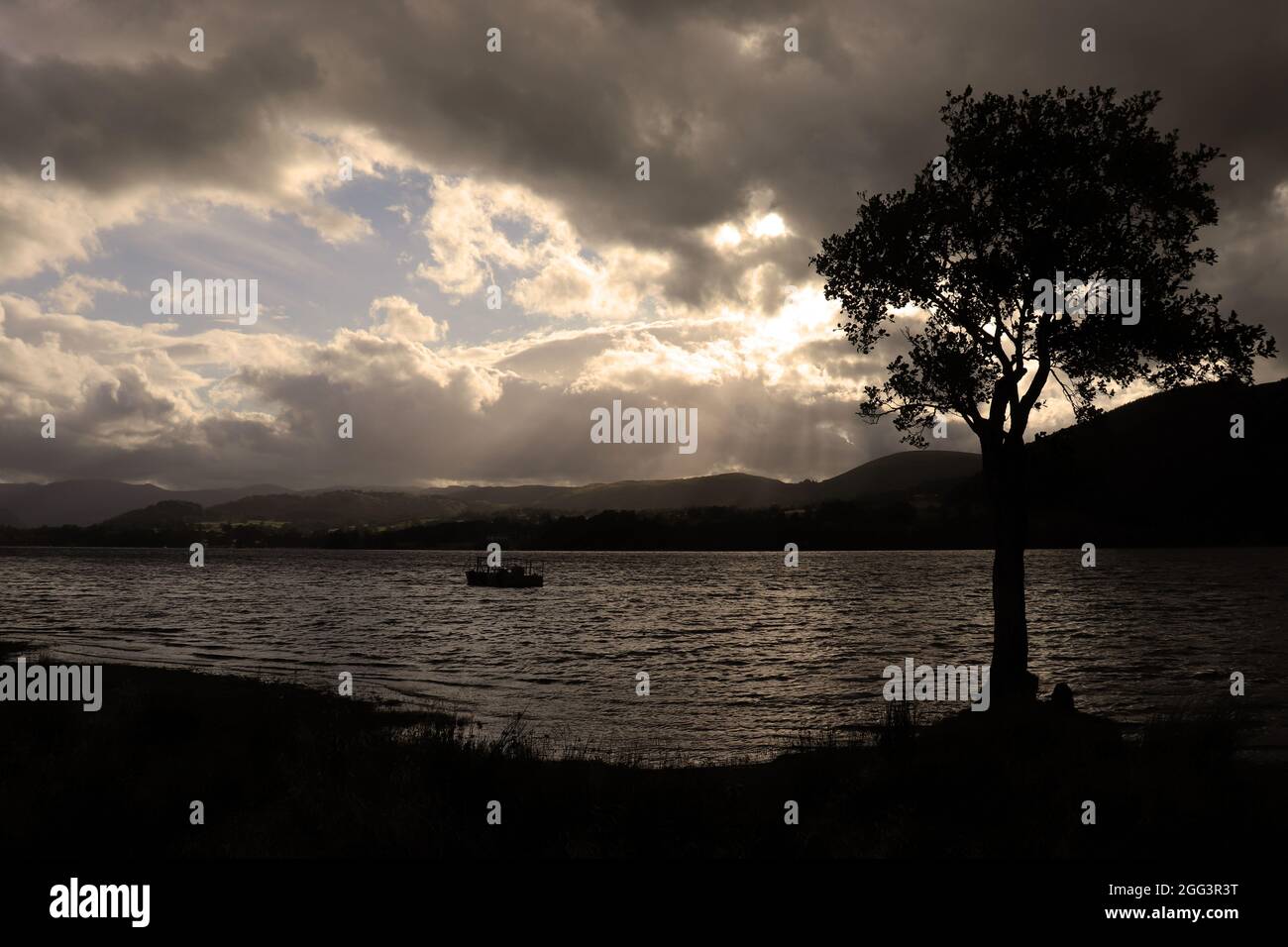 Silhouette of boat and tree on lake Stock Photo - Alamy