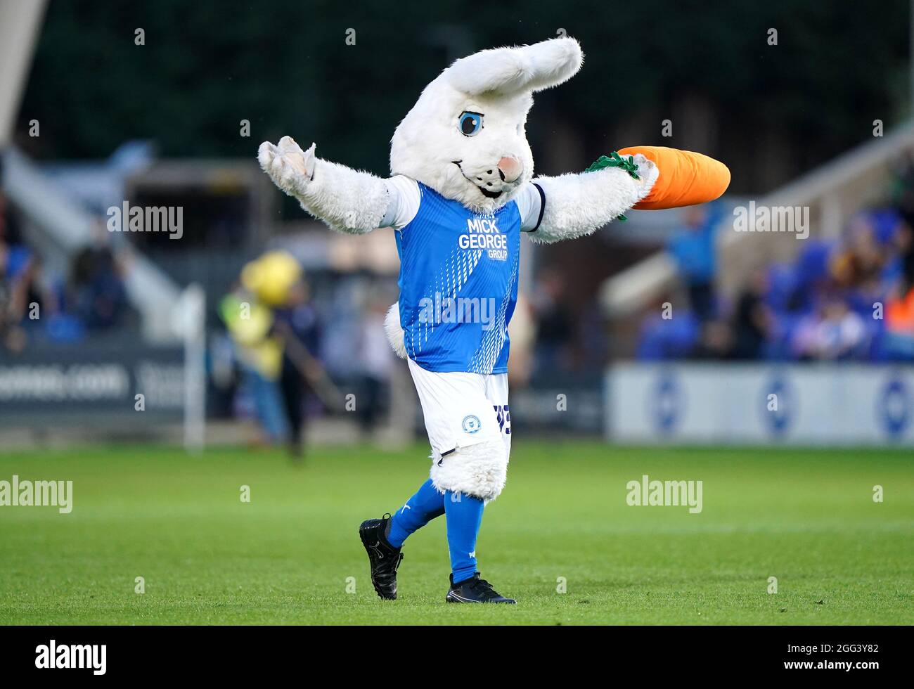 Peterborough United mascot 'Peter Burrow' on the pitch before the Sky Bet Championship match at the Weston Homes Stadium, Peterborough. Picture date: Saturday August 28, 2021. Stock Photo