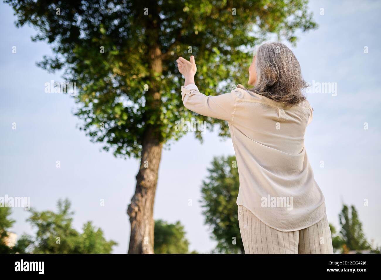 Tree with arms up pose hi-res stock photography and images - Alamy