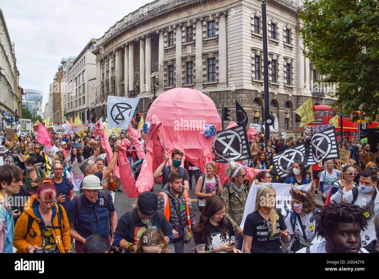 Animal rebellion octopus hi-res stock photography and images - Alamy