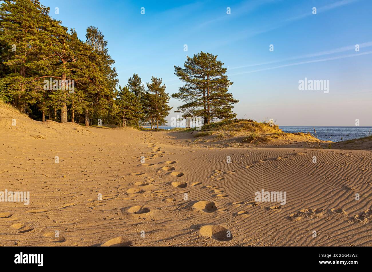 Komarovo shore hires stock photography and images Alamy