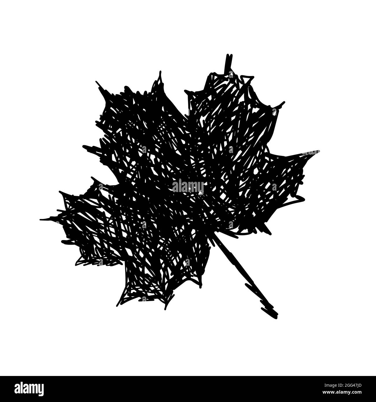 Maple leaf monochrome. Vector illustration Stock Vector Image & Art - Alamy