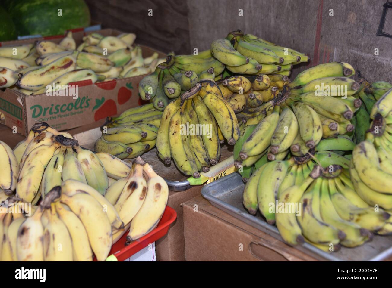 Oahu, HI. U.S.A. 6/4/2021. Kahuku Land Farms, Rick’s Brand and Aunty’s