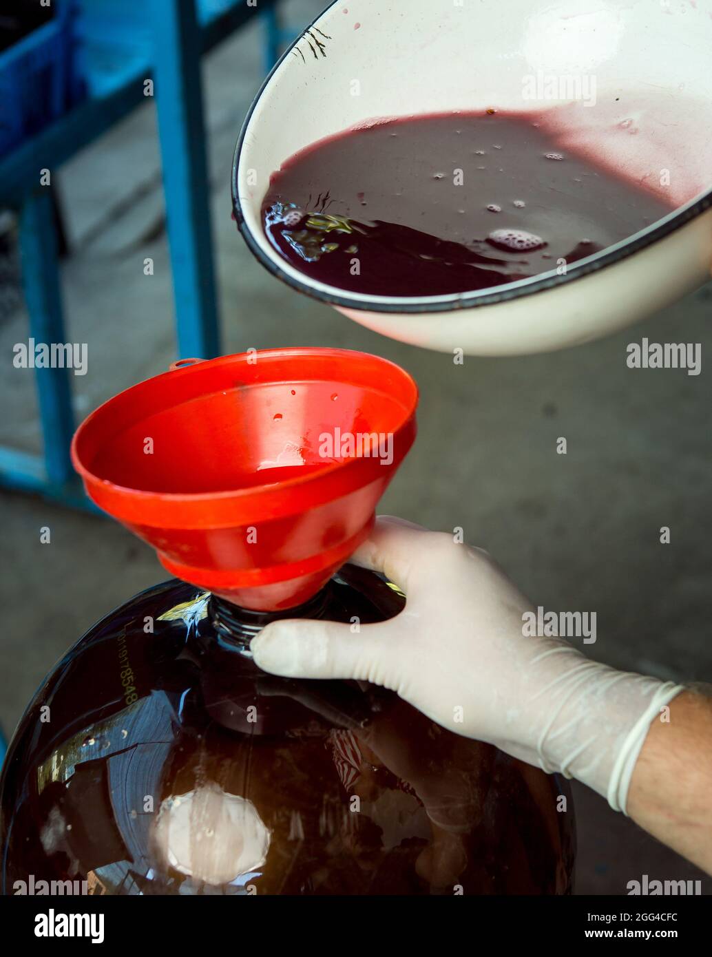 Wine harvest. The grape juice obtained during the pressing process is