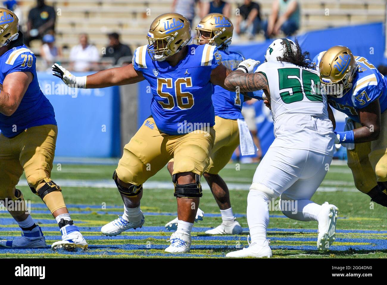 August 28, 2021 Pasadena, CA.UCLA Bruins offensive lineman Atonio Mafi #56 in action during the second half of the NCAA Football game between the UCLA Bruins and the Hawaii Warriors at the Rose Bowl in Pasadena, California.Mandatory Photo Credit: Louis Lopez/Cal Sport Media Stock Photo