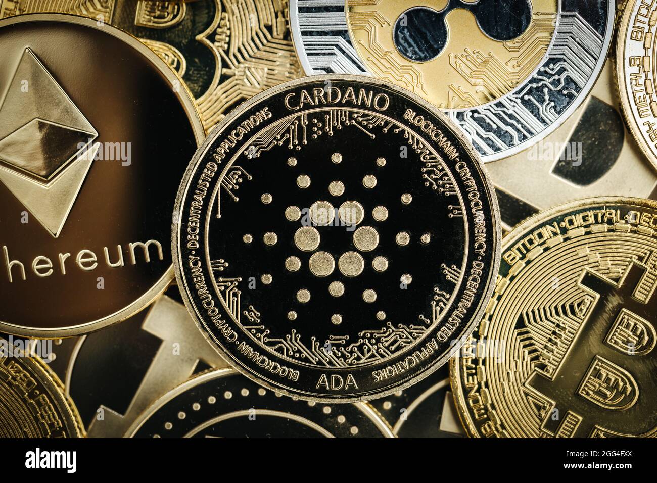 Cardano Ada cryptocurrency coin close-up, on top of other cryptocurrency  coins Stock Photo - Alamy