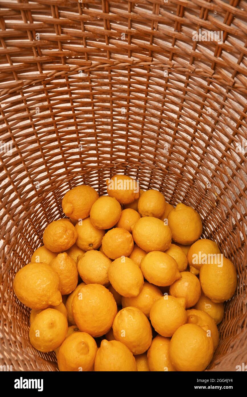 colorful lemons fruit whole wicker lemonade lemon Tree yellow citrus