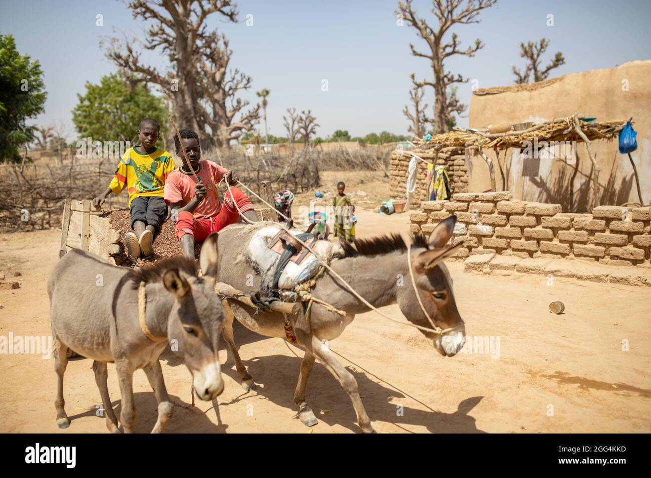 Children drive a donkey cart though a rural village in Barouéli Cercle, Mali. Stock Photo