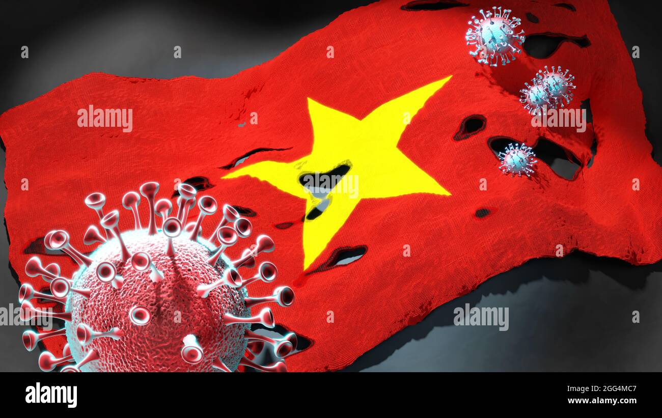 Covid in Viet Nam - coronavirus attacking a national flag of Viet Nam as a symbol of a fight and struggle with the virus pandemic in this country, 3d Stock Photo