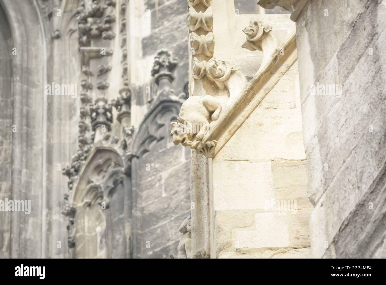 Gargoyle on the roof of St. Stephen's Cathedral in Vienna, horizontal format Stock Photo