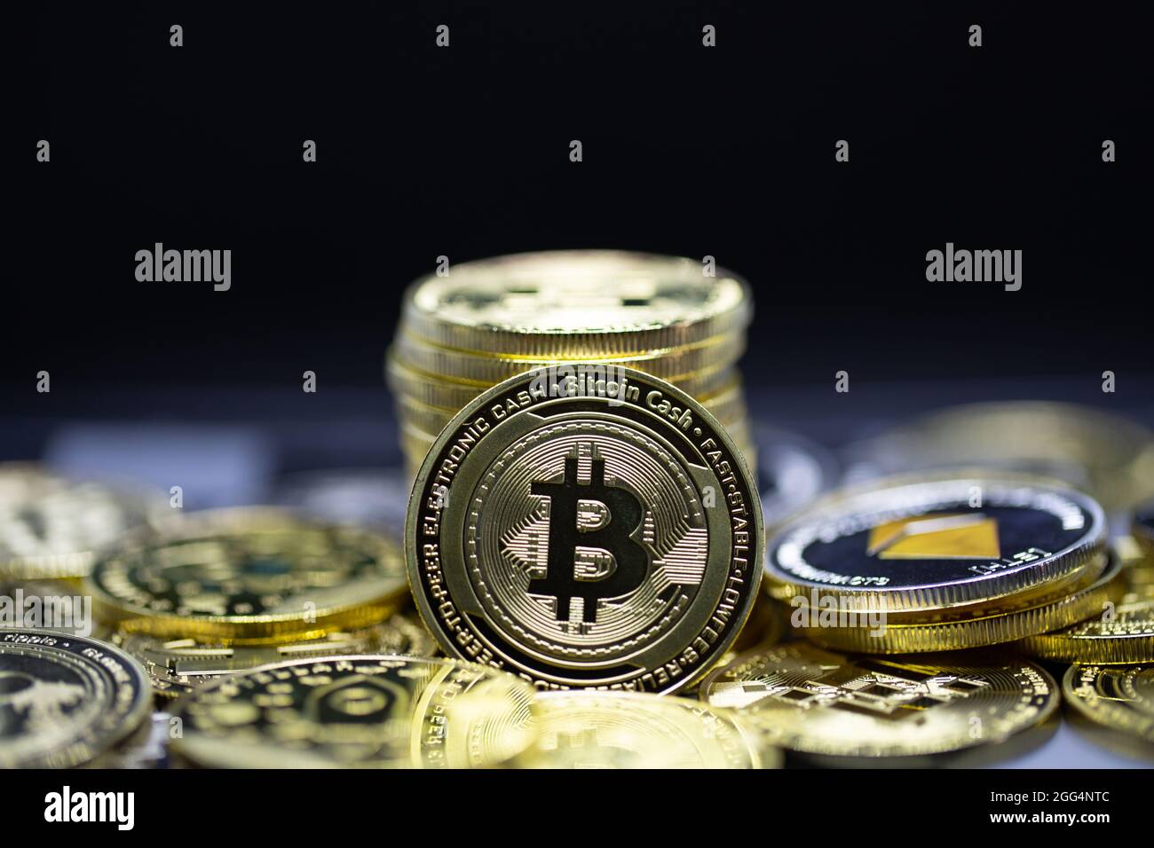 Cryptocurrency bitcoin the future coin, new virtual money. The growth rate  of the gold coin is the important currency for pay everything in the global  Stock Photo - Alamy