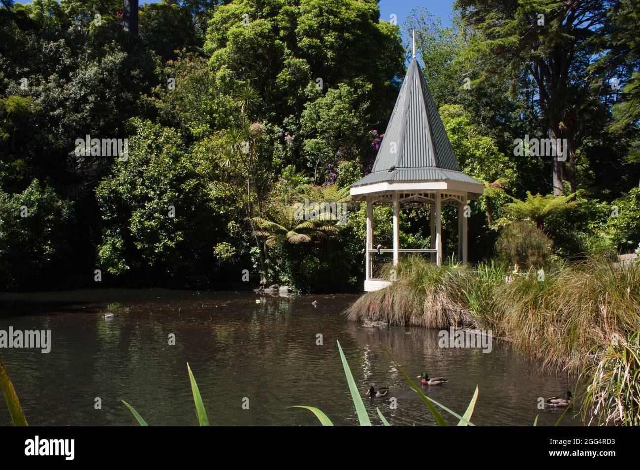 Wellington New Zealand - Oct 11 2017:  Gazebo at Wellington Botanic Garden. Stock Photo