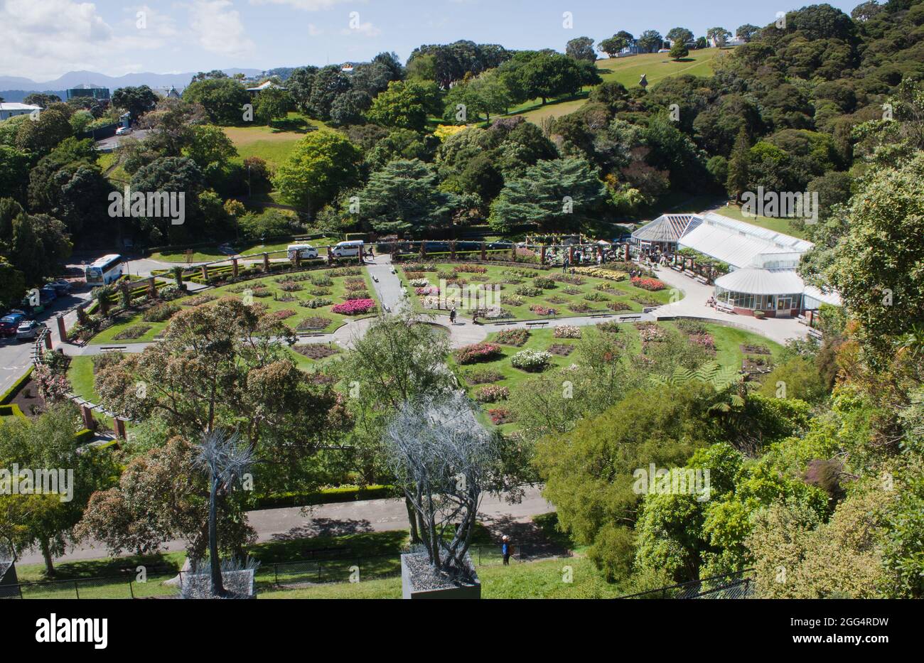 Rose gardens and glasshouse at the Wellington Botanic Gardens. Stock Photo